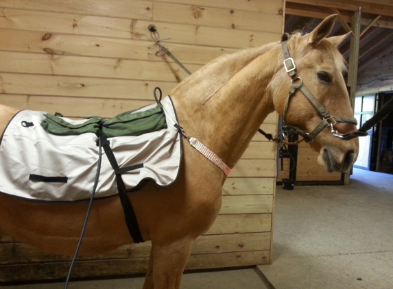 Cytowave Equine Therapy - Byfield, MA