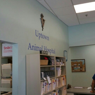 Uptown Animal Hospital - Chicago, IL