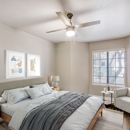 Rise Mountain Ridge - Apartments