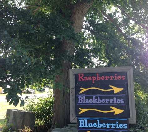 Sweet Berry Farm - Middletown, RI