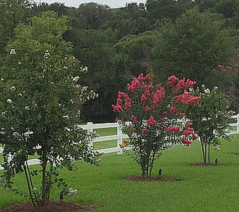 Picture Perfect Lawn and Landscape - Woodway, TX