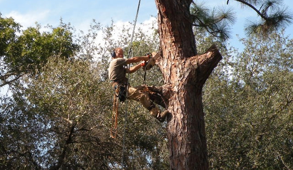 Chop Chop Tree - Ogden, UT