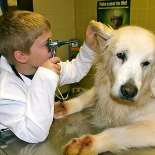 Dogwood Veterinary Hospital - Cape Girardeau, MO