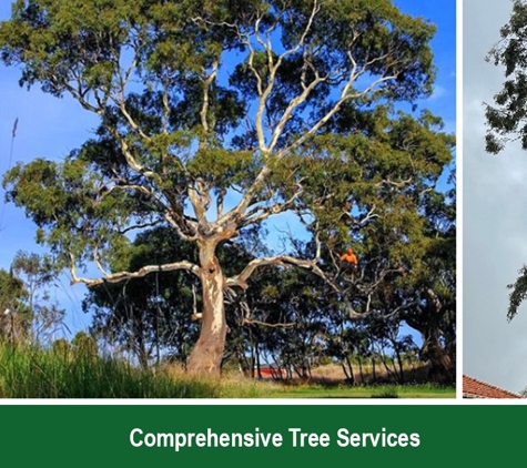 Action Tree Specialists - Kingsbury, VIC. Comprehensive Tree Services