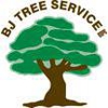 BJ Tree Service, LLC gallery