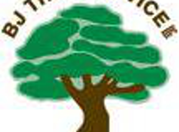 BJ Tree Service, LLC - Verona, PA