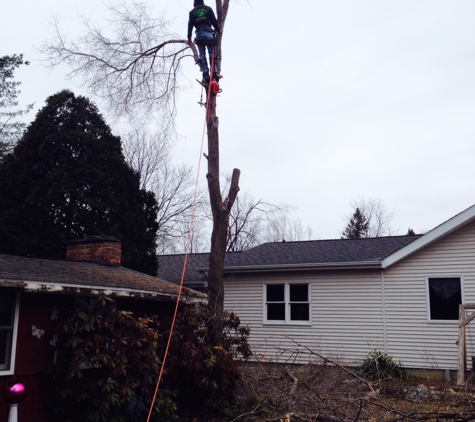 JR's Tree Service, LLC - Mount Morris, MI