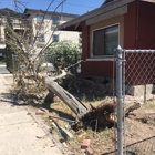 El Paso Tree Removal