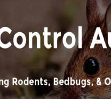 Pest Control Austin - Austin, TX