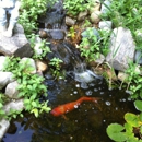 Goldfish Gardens - Lake & Pond Construction