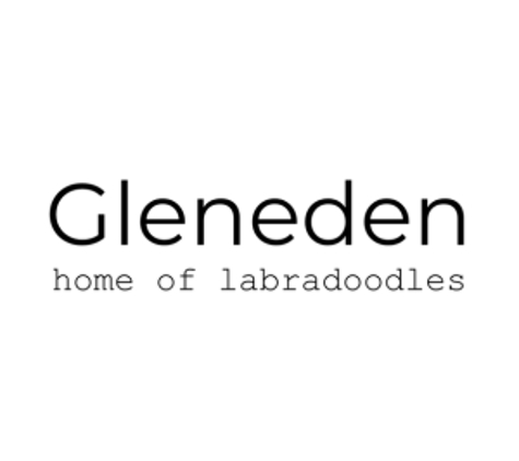 GlenEden Labradoodles - Berryville, VA