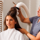 Lice Clinics Of America - Centreville - Medical Clinics