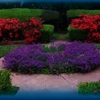 Specialty Landscape Services gallery