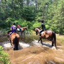 Split Elm Equestrian - Horse Training