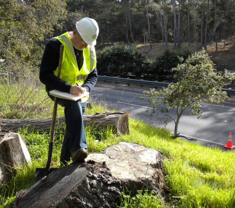 Evergreen Arborist Consultants - Los Angeles, CA