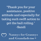 Nannys For Grannys