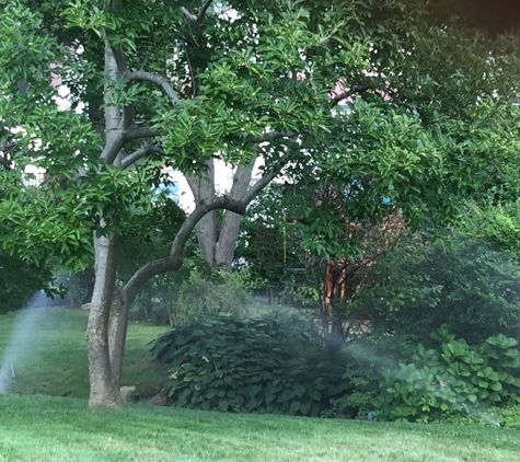 Morning Dew Lawn Sprinklers Inc. - White Plains, NY. Morning Dew Lawn Sprinklers just finished a lawn sprinkler repair in White Plains, NY and the Irrigation System now operates like new.