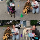 Four Leggers Pet Supplies & Services - Pet Services