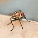 Best Defense Pest Solutions - Pest Control Equipment & Supplies