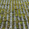 True North Roofing gallery