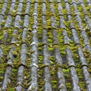 True North Roofing - Roofing Contractors