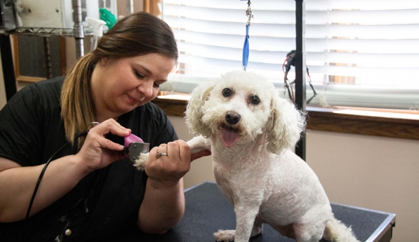 Three Trails Animal Hospital - Independence, MO