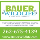 Bauer Wildlife & Pest Solutions - Pest Control Services