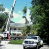 Coastal Tree Service gallery