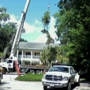 Coastal Tree Service