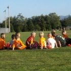 Lynden Bender Fields