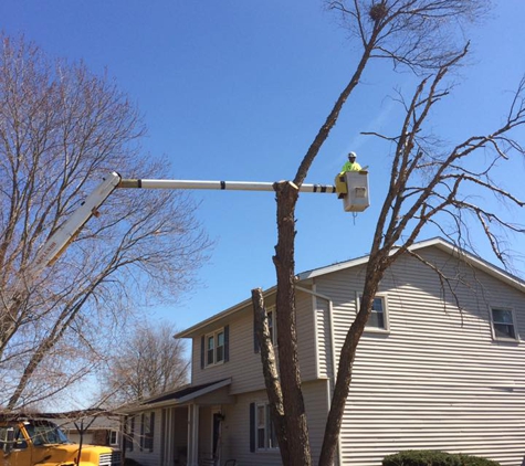 Jake's Lawn & Tree Service