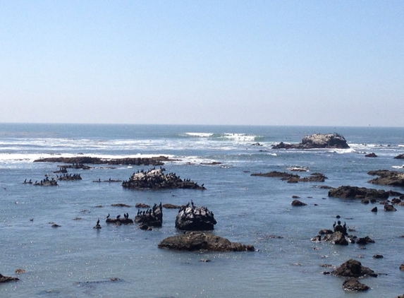 Cayucos Surf Company - Cayucos, CA