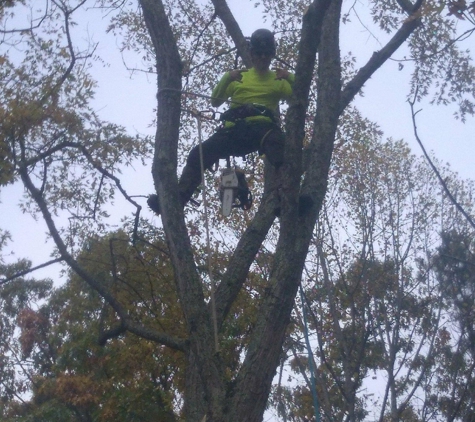 Johnson's Tree Care - Big Stone Gap, VA