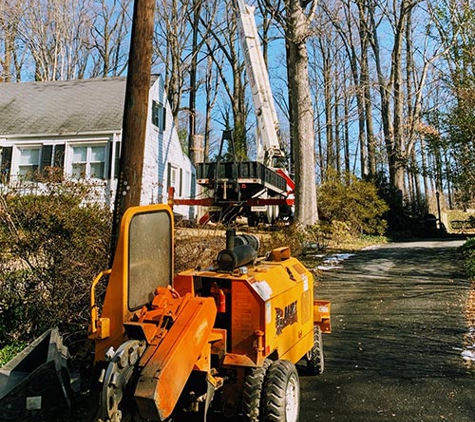 J & B Tree Services - Gaithersburg, MD