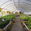 Reminiscent Herb Farm Nursery & Landscapg Inc - Nurseries-Plants & Trees