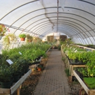 Reminiscent Herb Farm Nursery & Landscapg Inc