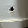 247 Pest Control NYC gallery