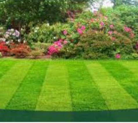 G.N. Lawn and Landscaping Service - Bonita Springs, FL