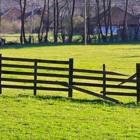 Long Fence