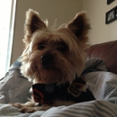 Trail Blazer Pet Supply - Pet Stores