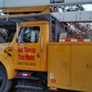 Dan Thomas Tree works and bucket truck service - Tree Service