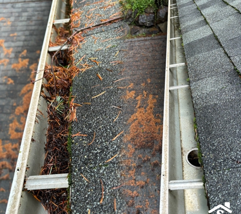 SAFE Roof Cleaning Moss Removal and Gutter Cleaning