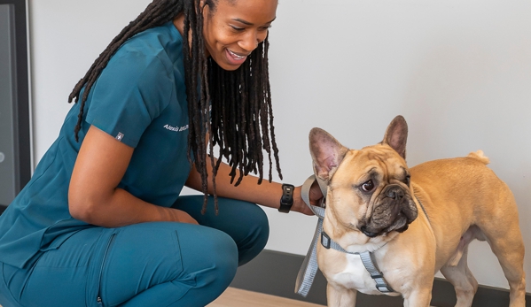 Livewell Animal Hospital of Huntersville - Huntersville, NC