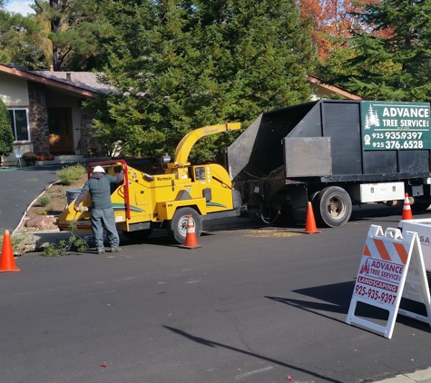 Advance Tree Service Inc - Walnut Creek, CA