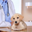 Flushing Veterinary Hospital - Pet Services