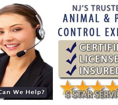 New Jersey Animal & Pest Control Specialists