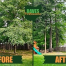 Daves Tree Removal Inc - Arborists