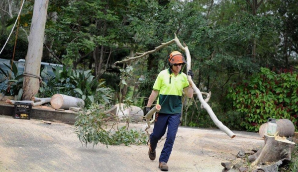 A Accurate Tree Services - Joyner, QLD