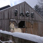 Page Christmas Tree Farm