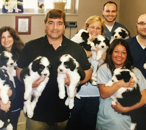 Ash  Creek Animal Hospital & Spa - Bridgeport, CT